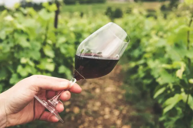 Top Pinot Noir Growing Regions in the World