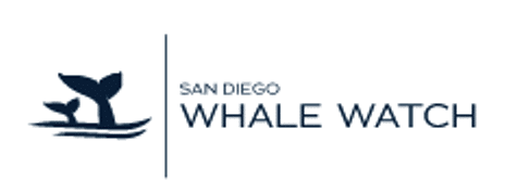 whale watching tour in San Diego