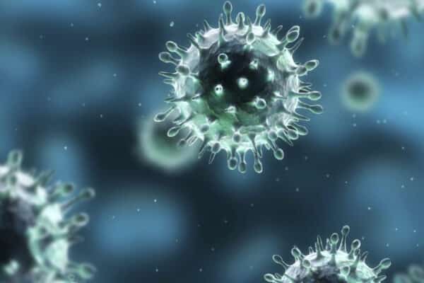 Biodefense Market Trends, Share, Size, Growth, and Forecast 2024-2032