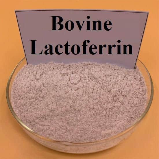 Bovine Lactoferrin Market Size, Trends & Outlook – 2033 | FMI