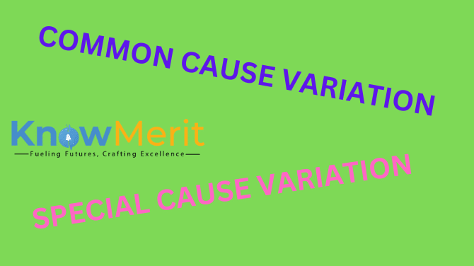 COMMON CAUSE VARIATION