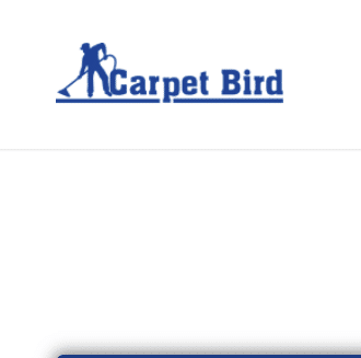 Carpet cleaner woking