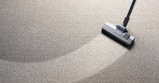 The Crucial Role of Carpet Cleaners in Daily Life