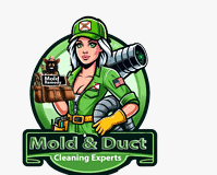 Effective Mold Cleaning Services in Oakland Park, FL: Restoring Clean and Healthy Spaces