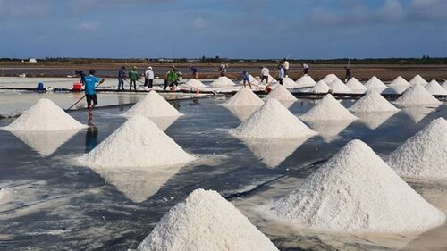 Unlocking the Potential of the Australia Salt Market