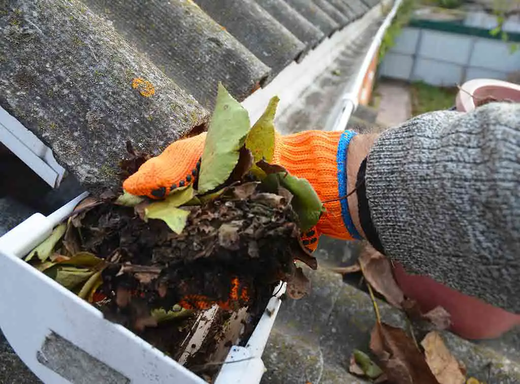 Gutter Cleaning