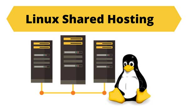 What are the Benefits of Linux Shared Hosting?