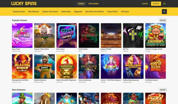 Die Top-Spielkategorien im Lucky Spins Casino