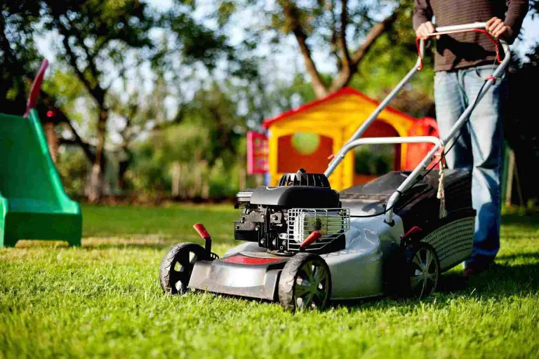 How to Find the Best Lawn Maintenance Service Solutions?