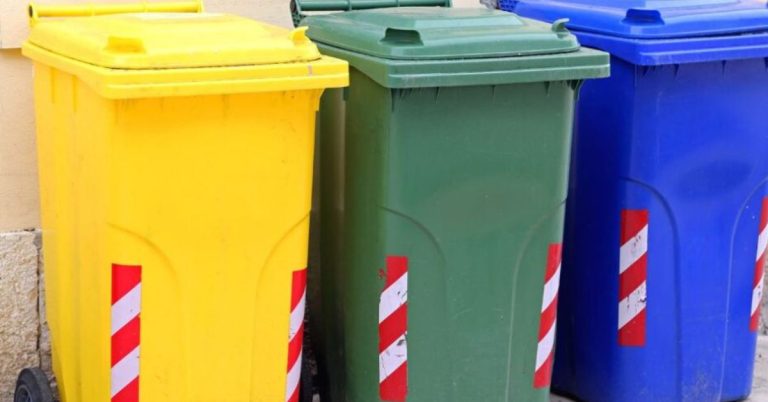 The Environmental and Practical Benefits of Wheelie Bins