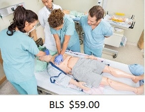 bls-59