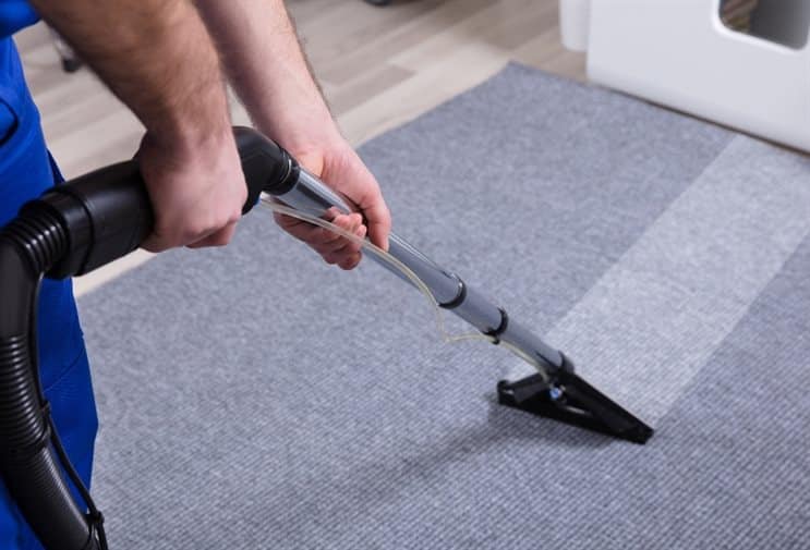 The Definitive Guide to Carpet Cleaning in Oakville