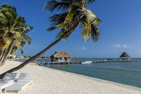 Top 5 Must-Know Tips for Buying Ambergris Caye Real Estate