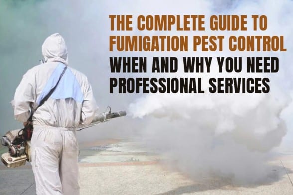 A Guide to Fumigation Pest Control