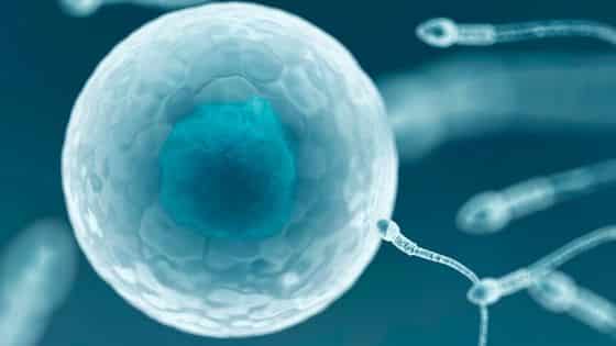 In Vitro Fertilization Market Growth Trends: Size and Share Insights