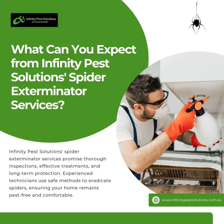 What Can You Expect from Infinity Pest Solutions’ Spider Exterminator Services?