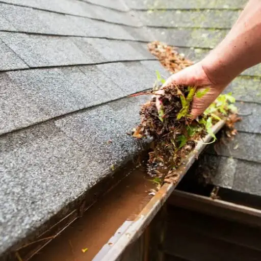 gutter cleaning Jacksonville