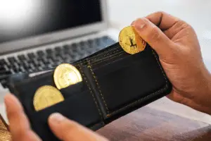 How Cryptocurrency Wallet Development is Revolutionizing the Financial Industry