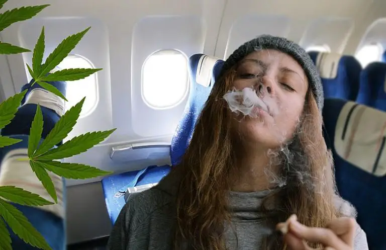 Can You Bring Weed on a Plane 2024 [Know the Rules]