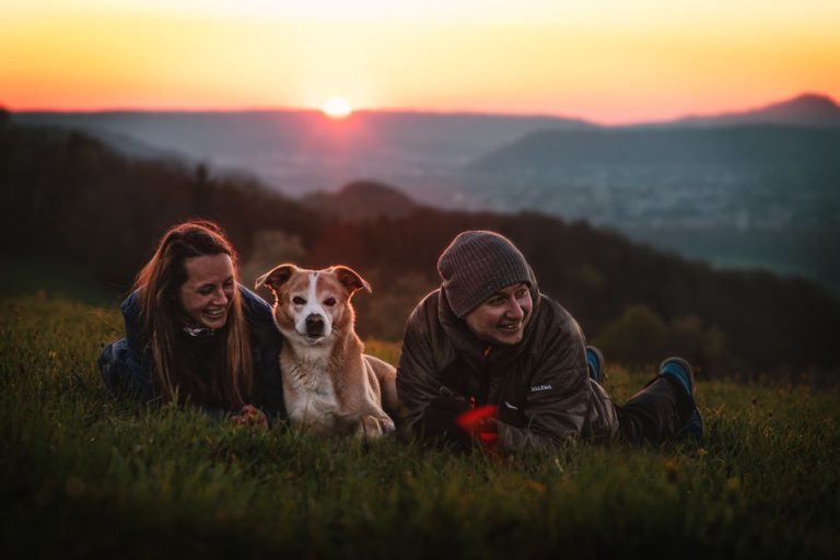 Pfotenfreund Produkttest: Welches Hundefutter ist das beste?