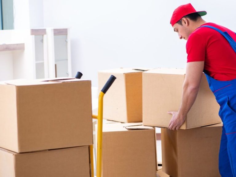 Best Moving Companies in Loudoun County