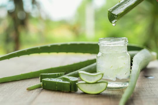 Aloe Vera Processing Plant