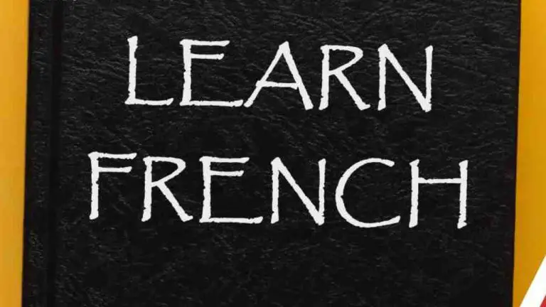 How Can I Choose the Best Online Institute for French Learning?