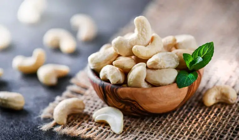 Cashew Processing Plant Project Report 2024: Industry Analysis, and Raw Materials Cost