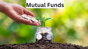 Why is the Mutual Fund Software in India Essential?