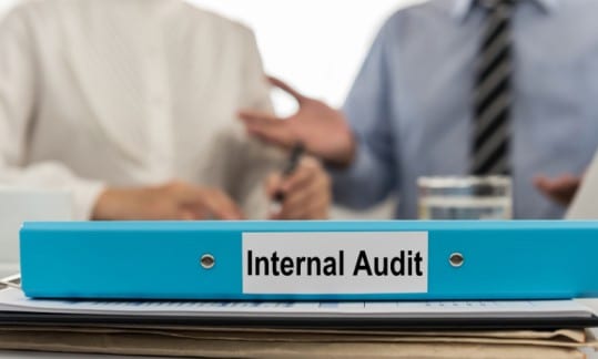 Why Your NDIS Service Needs Internal Audit Support?