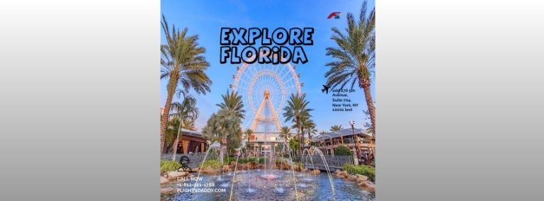 The Ultimate Guide to Flights with Florida Flights Daddy