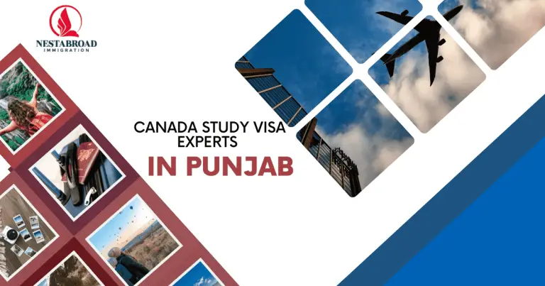 Navigating the Maple Leaf Route: Trusted Canada Study Visa Experts in Punjab