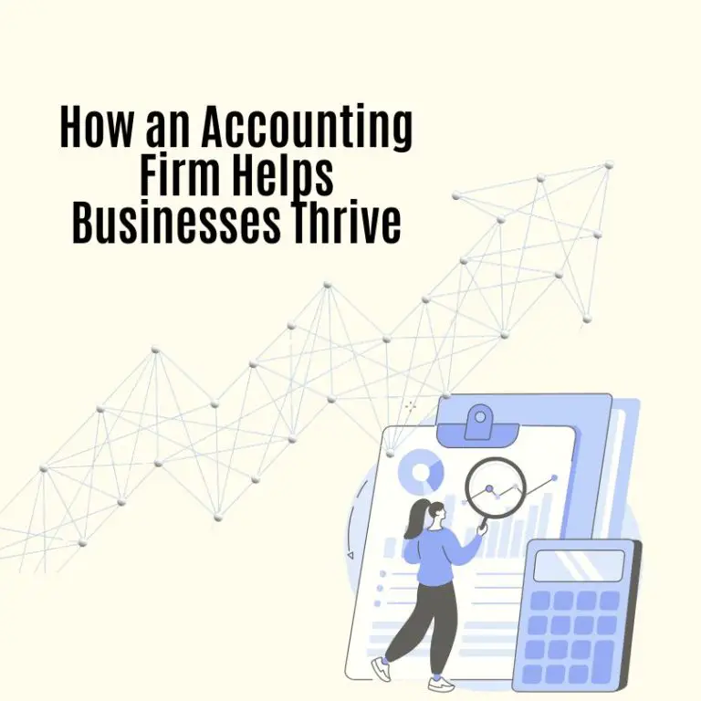 How an Accounting Firm Helps Businesses Thrive